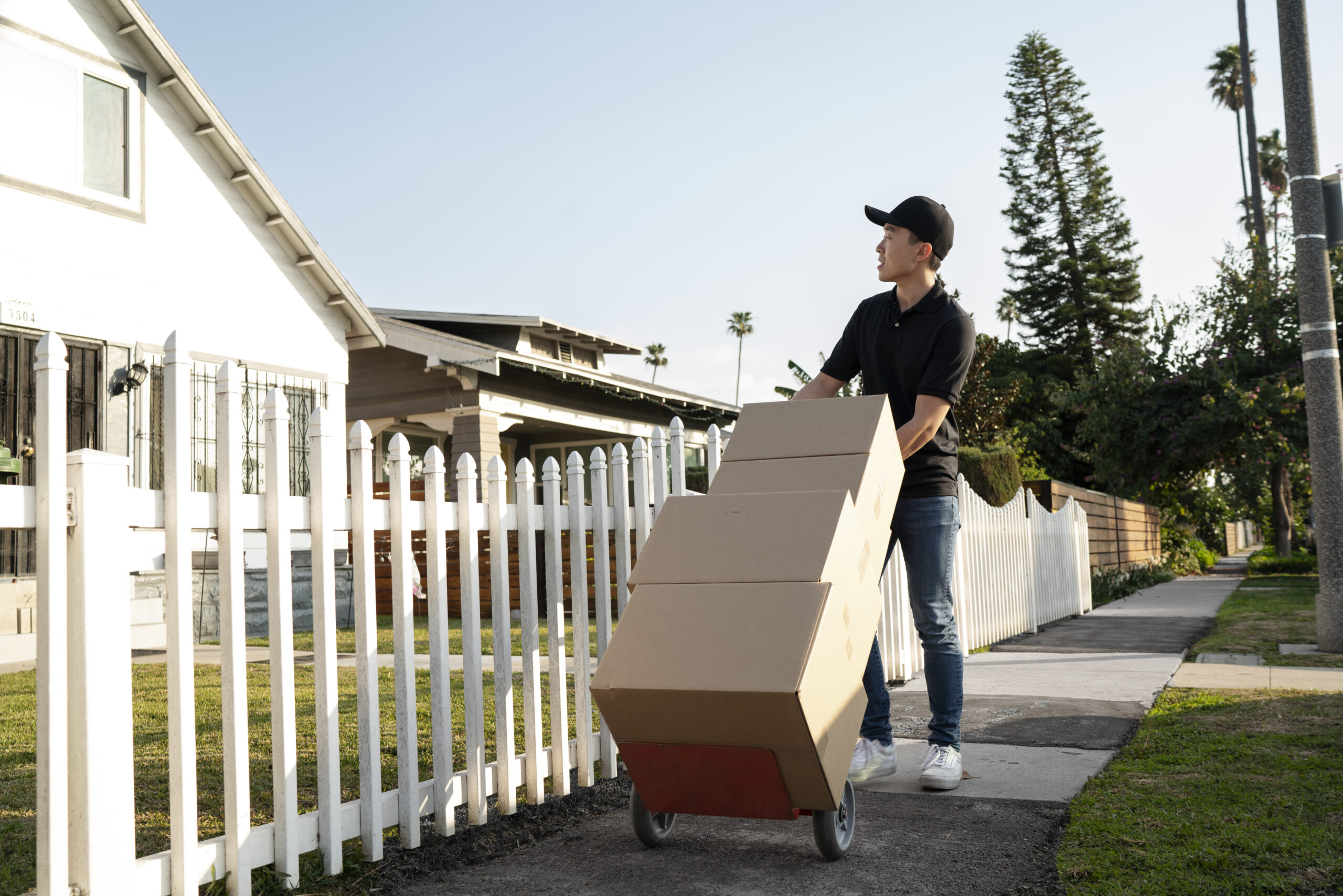 removal services hobart