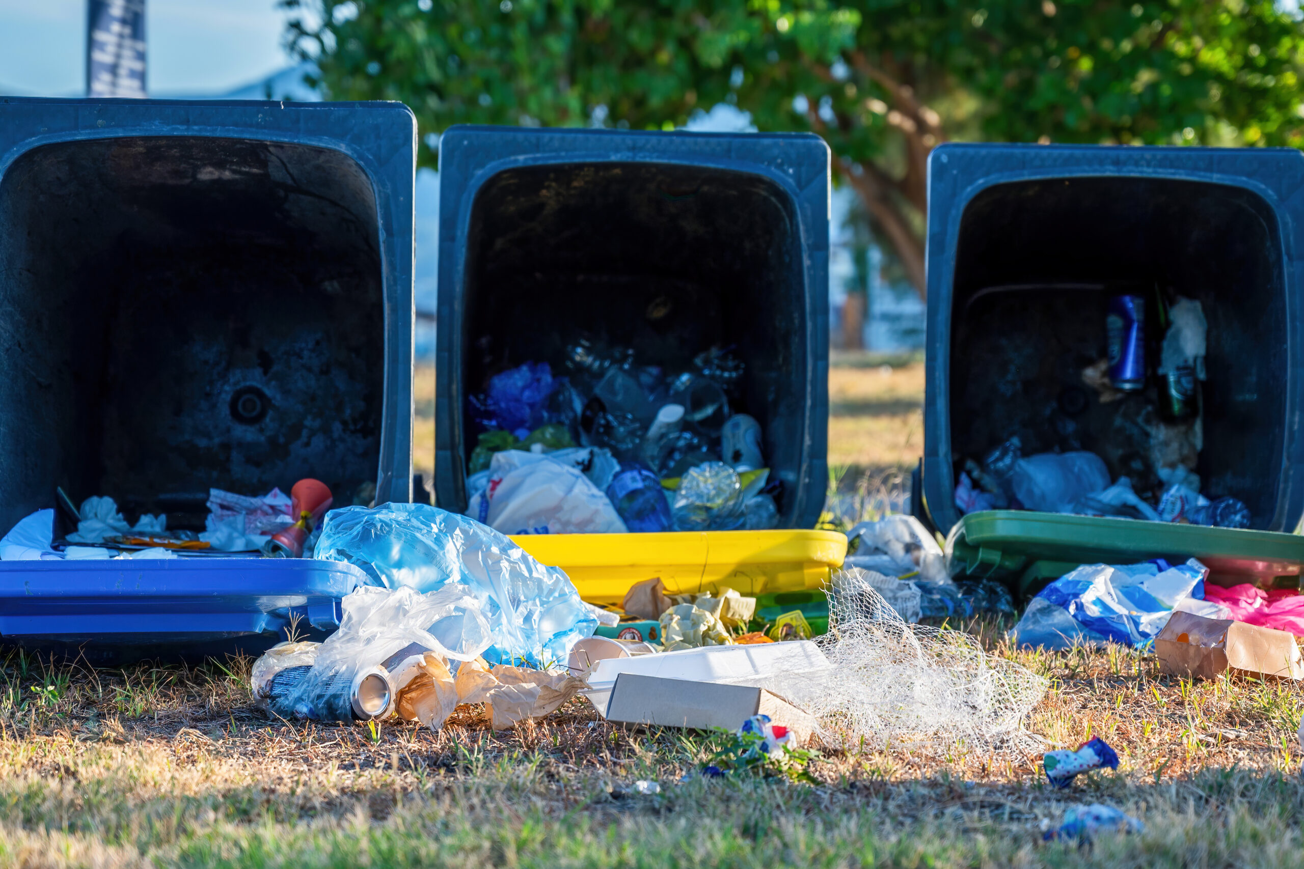Rubbish removal hobart